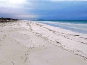 Eucla