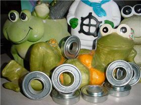 frog bearings 004