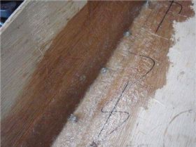 My attempt at a Lefroy Mini