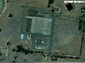 Bendigo stock exchange/saleyards