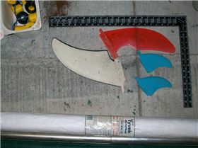 fins for paul
