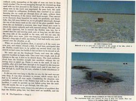 real photo new sails 006