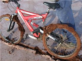 bikes in bogs