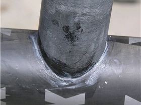 LittleBeast Epigen.01