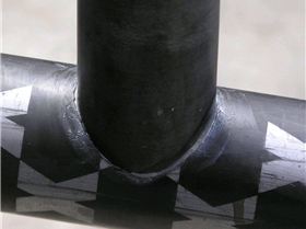 LittleBeast Epigen.02