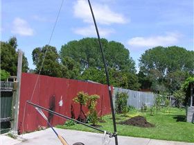 010.11.03 AeonsViola 004