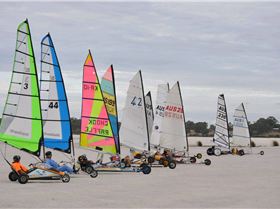 sandgropers season final