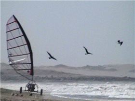 LANDSAILING  EN BAHIA DE LOBOS