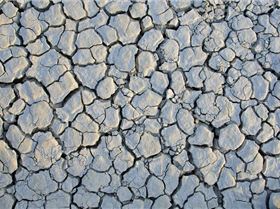 6164188242 4784e681c1 b