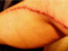 PB180289ChickenDrumstick