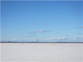 Kite buggy joins the fray