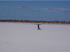 any thing that sails