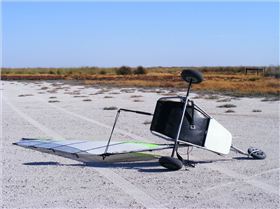 australia day at kingston