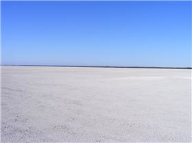 australia day at kingston