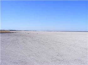 australia day at kingston