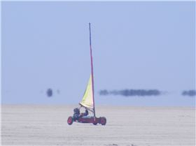 australia day bash 2013