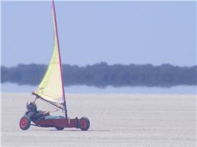 australia day bash 2013