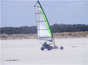 australia day bash 2013