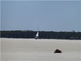 Australia Day Bash 2013