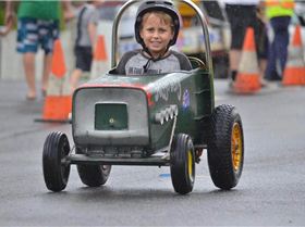 734683 296868027101877 243175749 nwheely bin cart