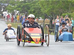 424486 296868057101874 1237779084 ndadstakeovercarts