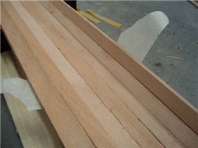 class3 stripmast info