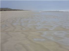 sandy point 02-08-13 007