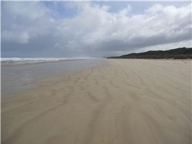 sandy point 02-08-13 009