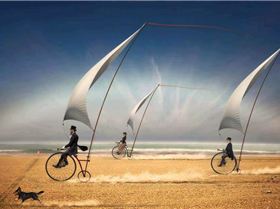 1186237 195595923951540 2018407999 n