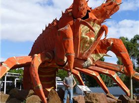 Kingston SE Big Lobster