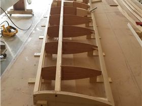 Wingnut lll class 3 wing