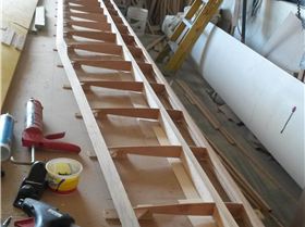 Wingnut lll class 3 wing