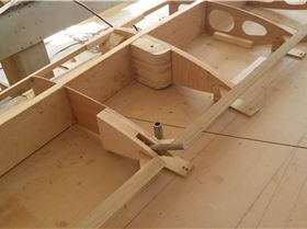 Wingnut lll class 3 wing