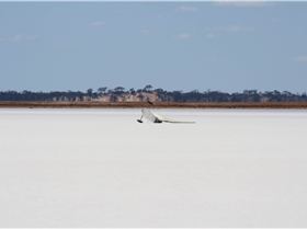 like father ...like daughter?!? it's all good