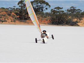 funny looking helmets