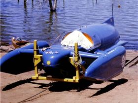 cropped-Bluebird-722x550