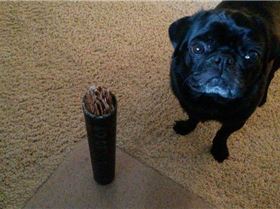 10982446 1018347324842095 60354956381948577 n