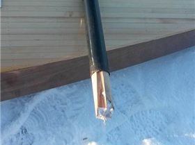 10984286 1017866998223461 432236722394331628 n