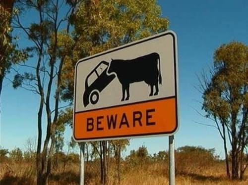 classic australian signs (16 photos) - 02