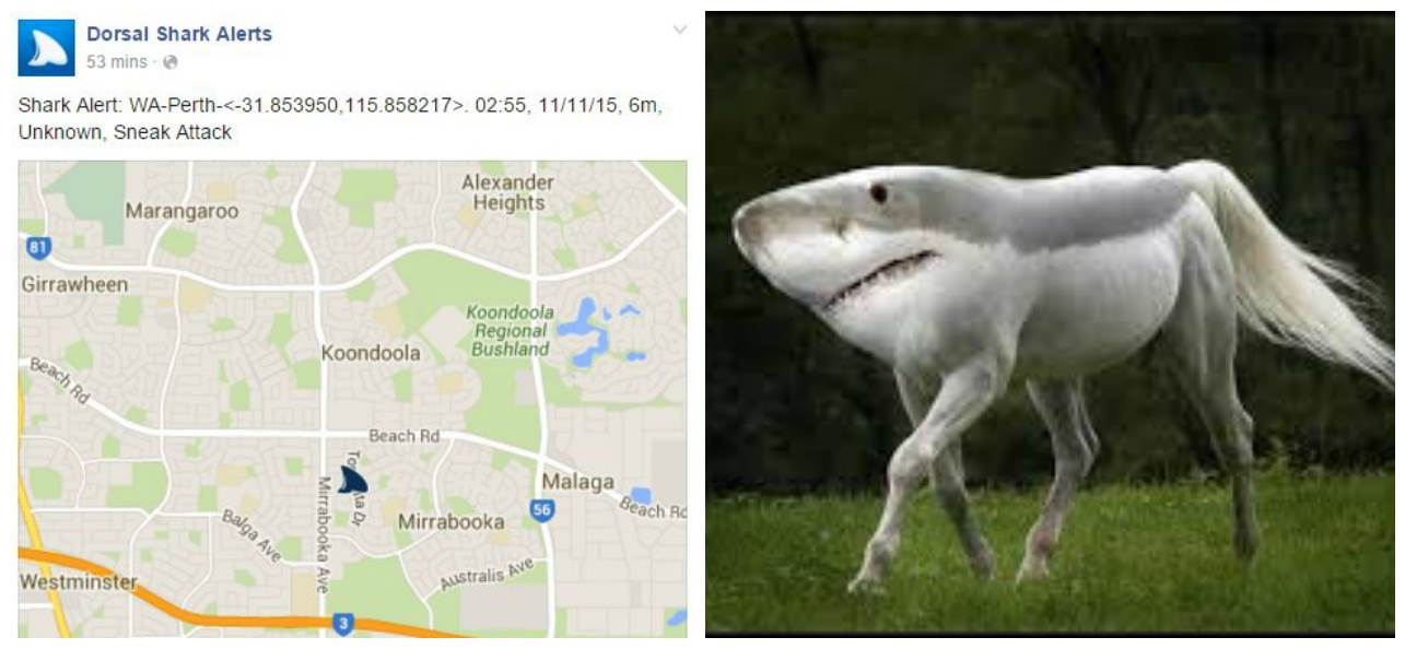 Land shark