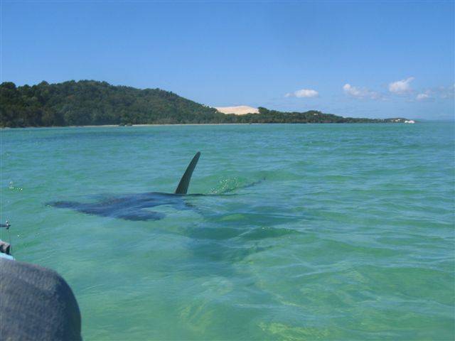 moreton island canoeing