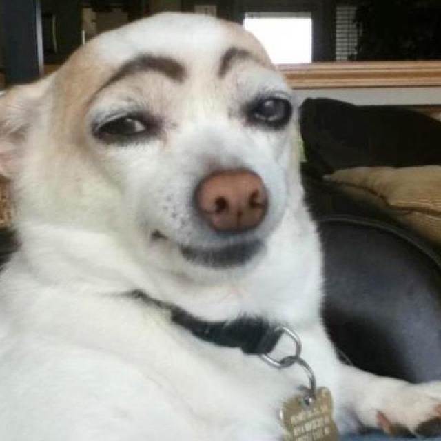 691a2d0ddb6724bf7f3caa3bac98aab0