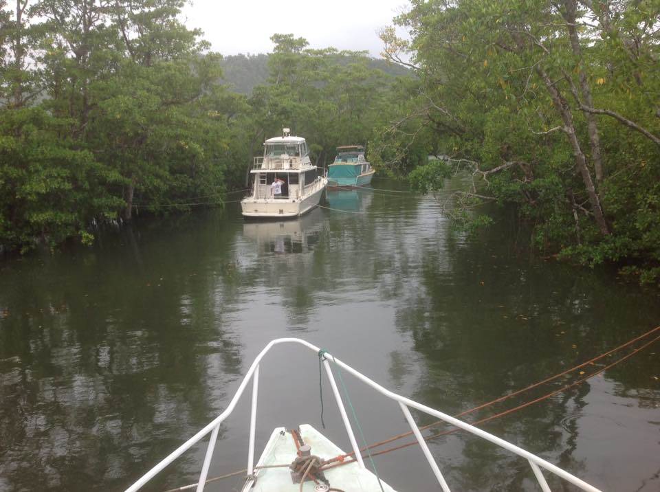 12705410 10154613118253327 8588232674205564418 n