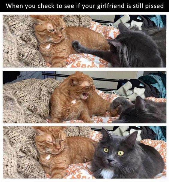 e3e69ca08bf33aa59549704d8649c001