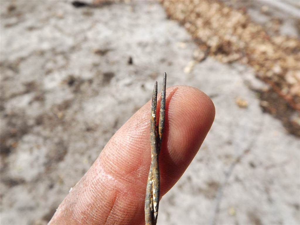 Fire damage to high tensile fencing wire.