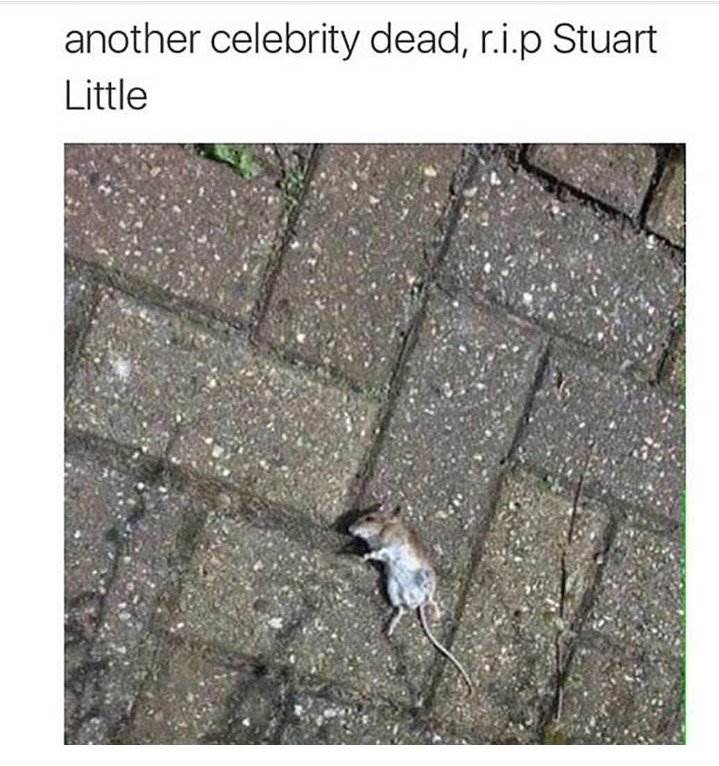 Stuart Little