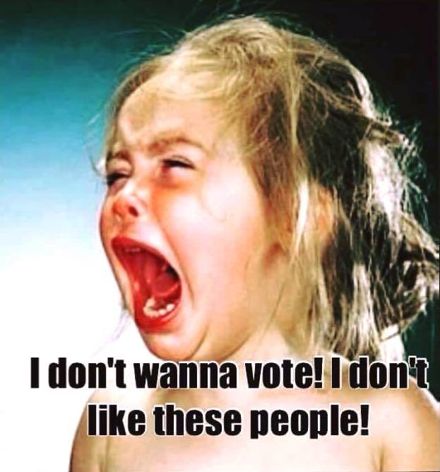 13227008 1054050881329367 4987821674581176231 n