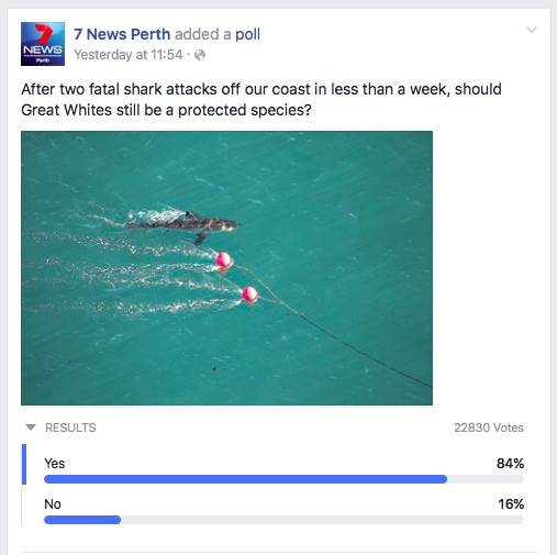 Screen Shot 2016-06-07 at 4.58.18 PM