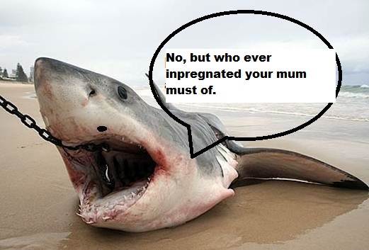 bebb2e 12544184598623a4e9e2cb1ab3a5cc95