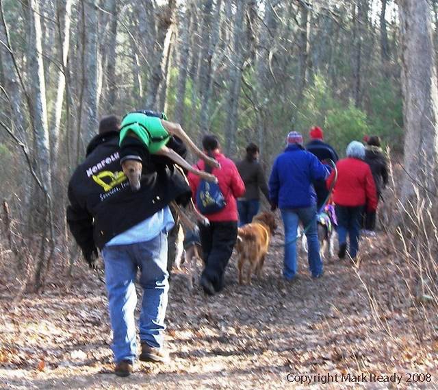 ted bullpit walking repco lad